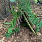 One of the amazing dens built at forest school