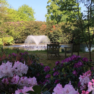 Adoption Matters supporters to host garden party in aid of the charity