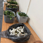 Sarah Hopes Wreath Making Event for Adoption Matters